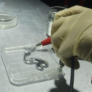 Custom Gallium Alloys – Gallium Global